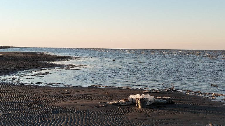 Экспедиция в Дагестанский заповедник