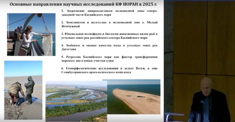Итоговый доклад о результатах деятельности Каспийского филиала ИО РАН в 2025 году